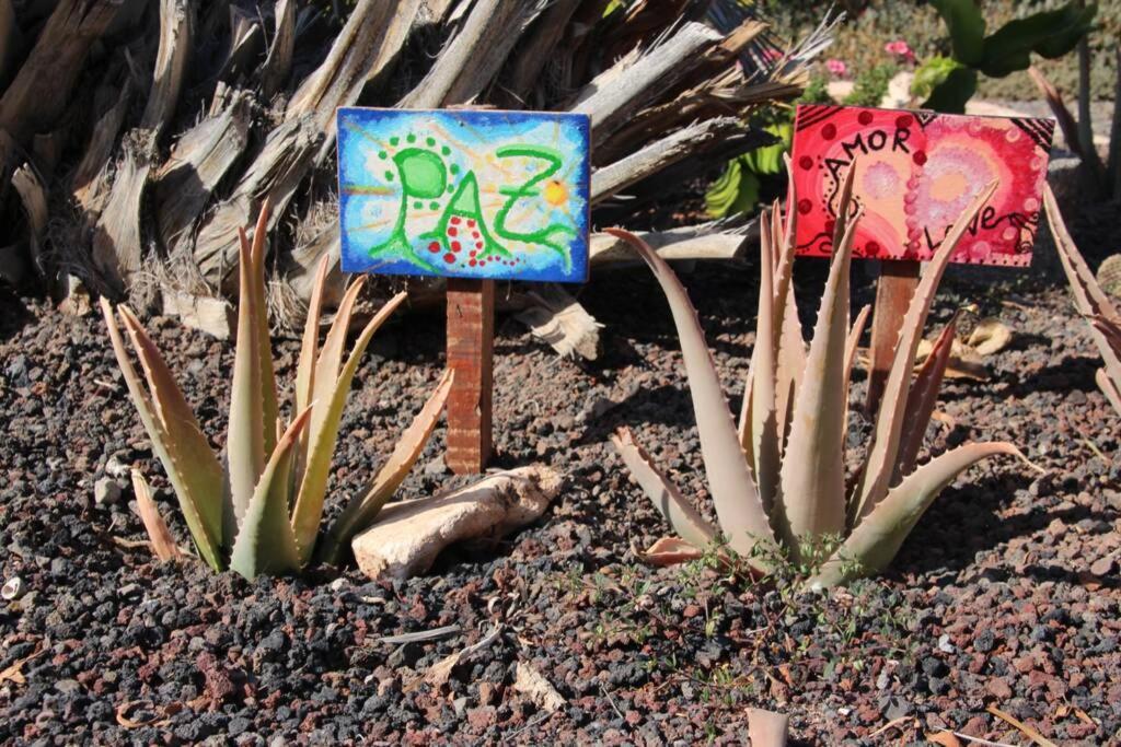 Casa Madre Tierra Apartman La Pared  Kültér fotó