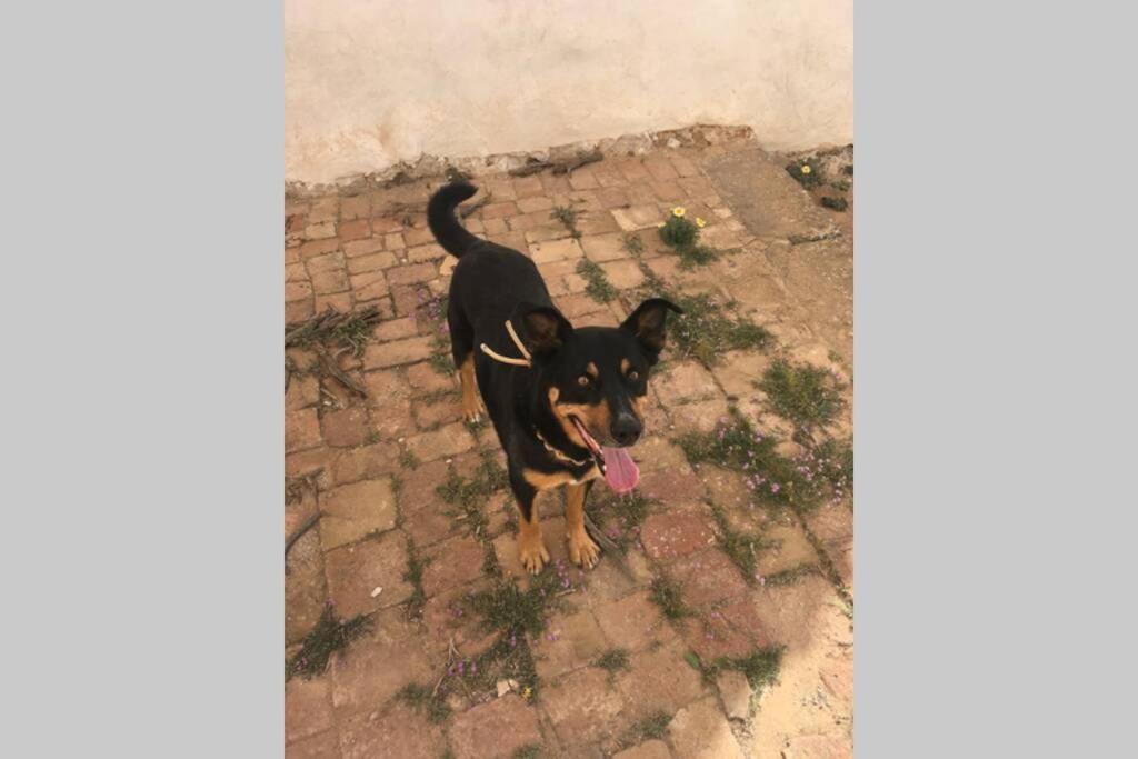 Casa Madre Tierra Apartman La Pared  Kültér fotó