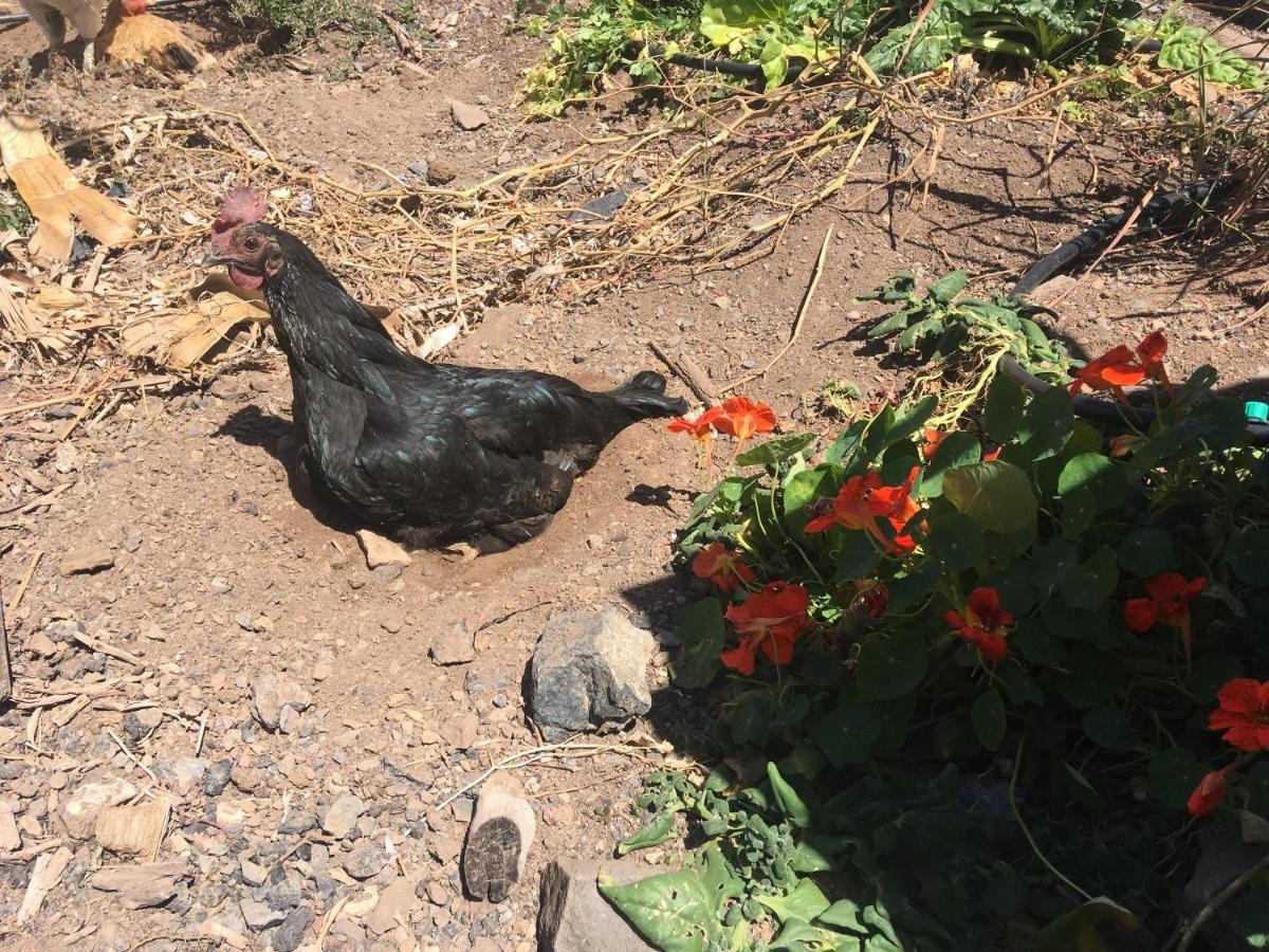 Casa Madre Tierra Apartman La Pared  Kültér fotó